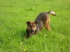 Arthur2